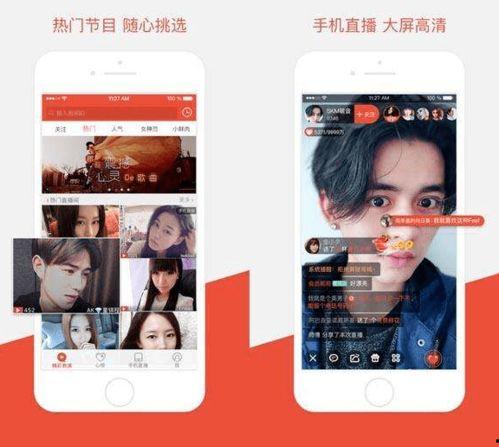 成人无码裸体直播app,隐私边界与监管挑战